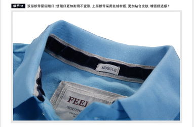 歐美經(jīng)典翻領(lǐng)男士Polo衫 天蘭色調(diào)與彈性織帶的時尚融合