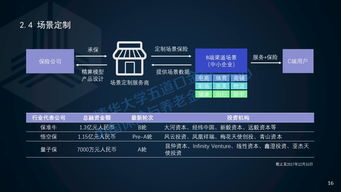 2017年中國保險(xiǎn)科技投融資報(bào)告 科技中介服務(wù)的崛起與重塑